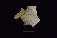 陶罐藏品圖，第1張